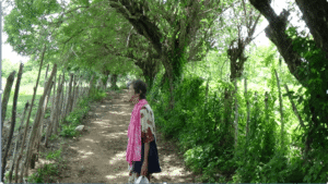 Cómo definir un camino donde no haya equivocación