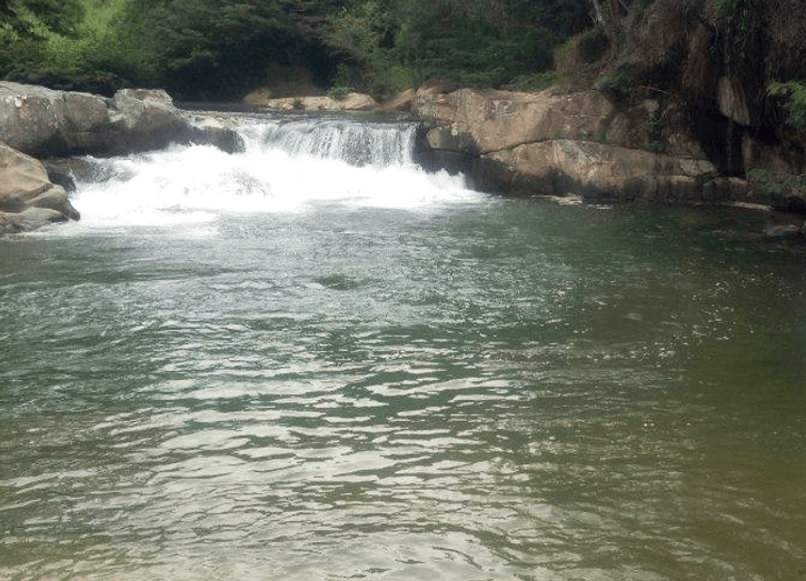 ¿Quieres tener agua para vivir?. Haz para que así sea.