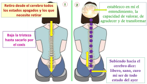 Retirad lo que no es de bien y estableced lo que os da claridad